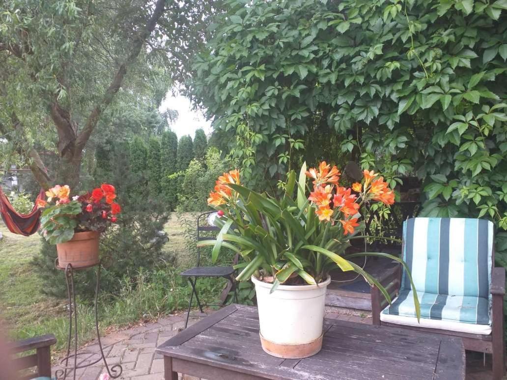 Guest House Pechersky&Sons Dreilini  Exterior foto