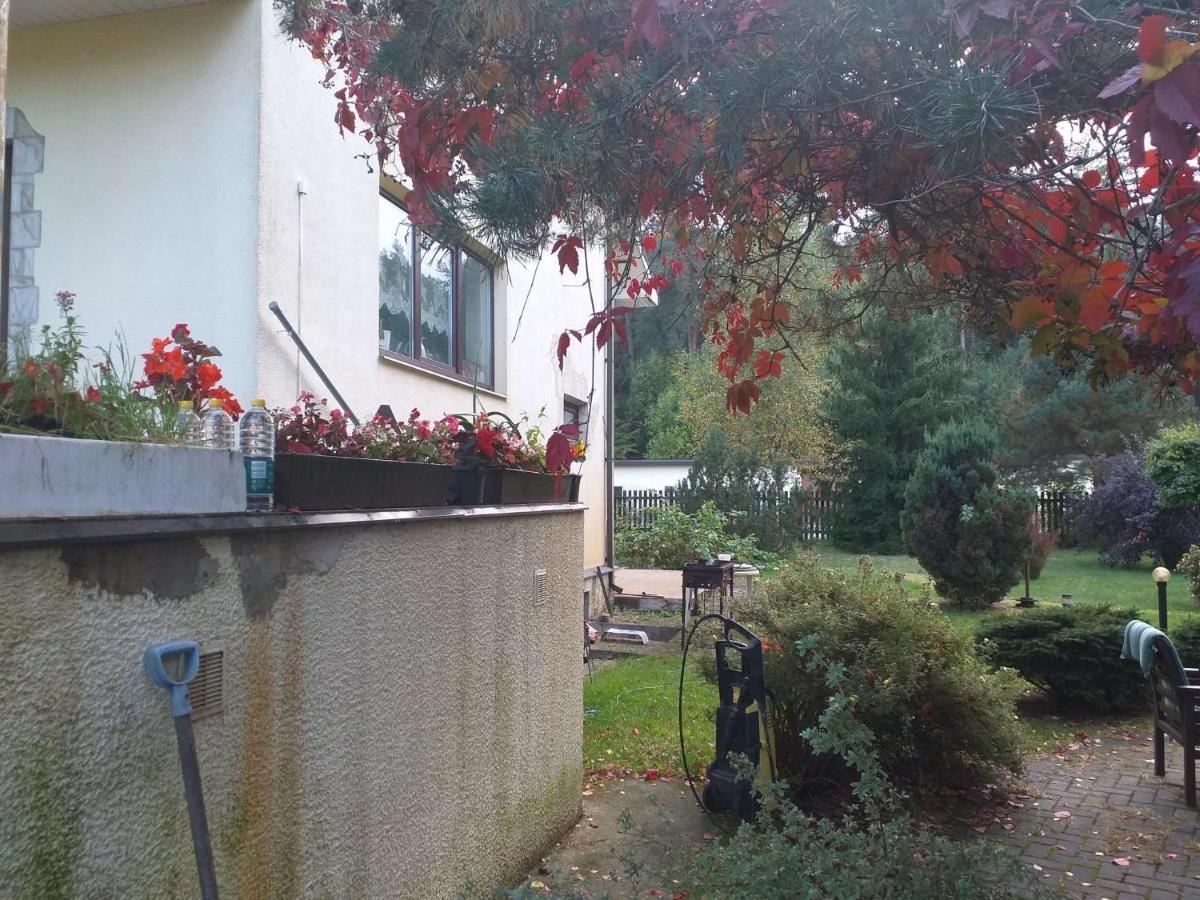 Guest House Pechersky&Sons Dreilini  Exterior foto